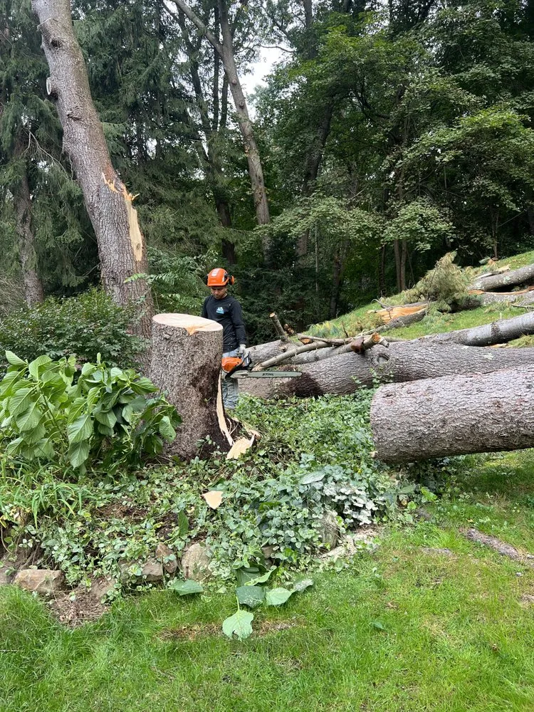 Custom residential landscaping for year-round maintenance in Lynn, MA by MC Tree Services and Landscaping