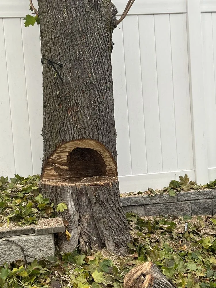 Expert landscape installation experts serving Lynn, MA - MC Tree Services and Landscaping