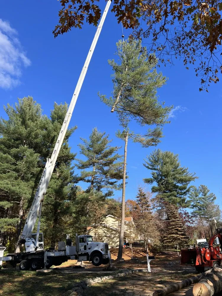 Custom residential landscaping in Lynn, MA - MC Tree Services and Landscaping