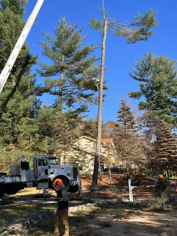 Local garden landscaping in Lynn, MA by MC Tree Services and Landscaping