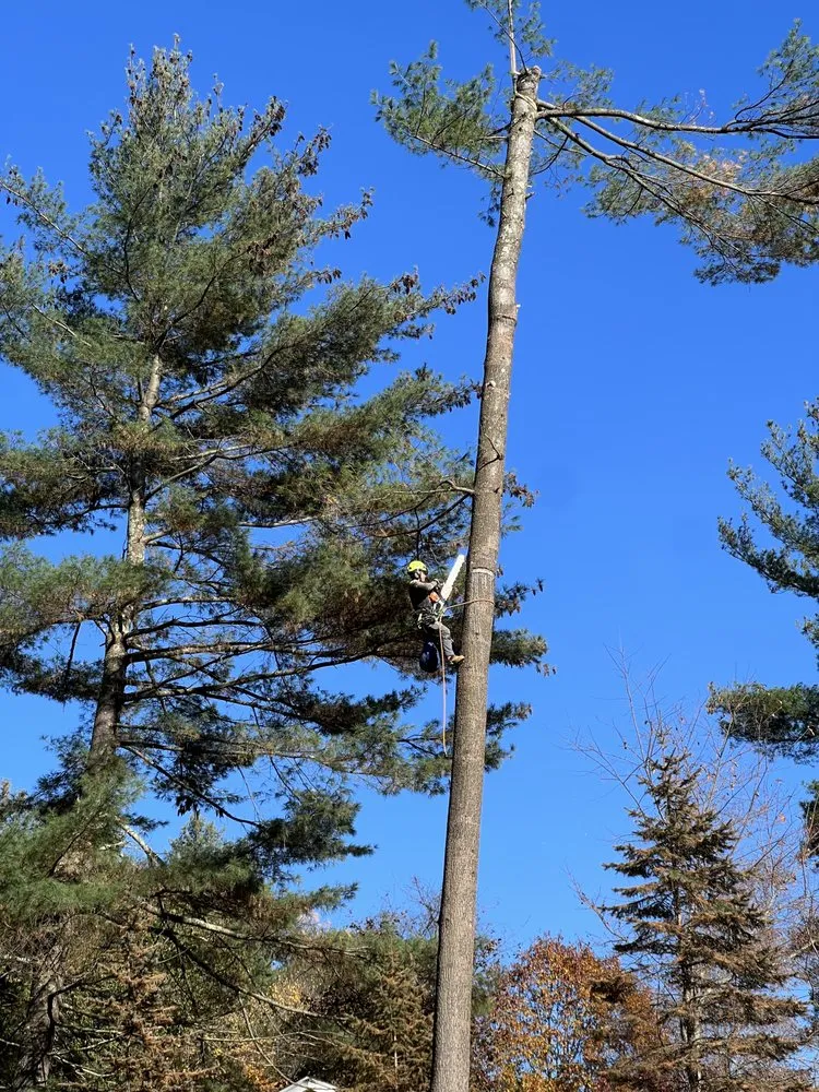 Top-rated residential landscaping for residential properties in Lynn, MA by MC Tree Services and Landscaping