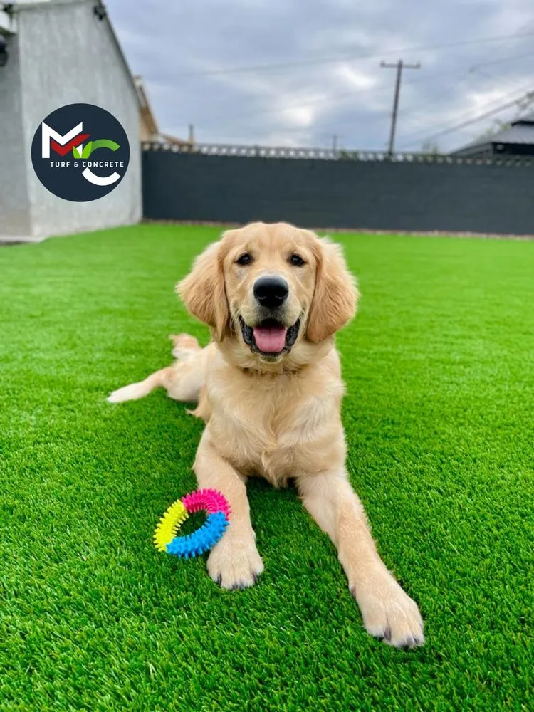 Expert lawn care service for year-round maintenance in Ontario, CA by MC Turf and Concrete