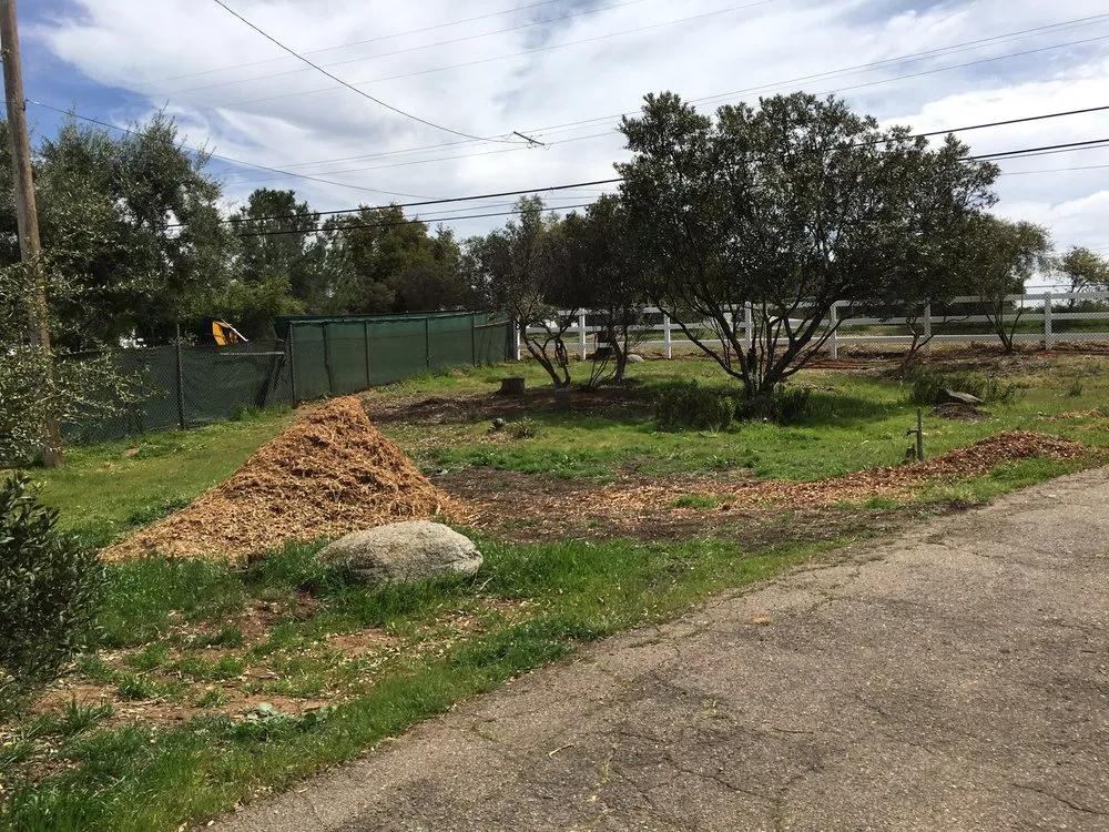 Reliable landscape design in Jamul, CA by M&C Weed Abatement