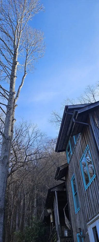 Top-rated landscape design in Clyde, NC - MC Yard Maintenance and Tree Work