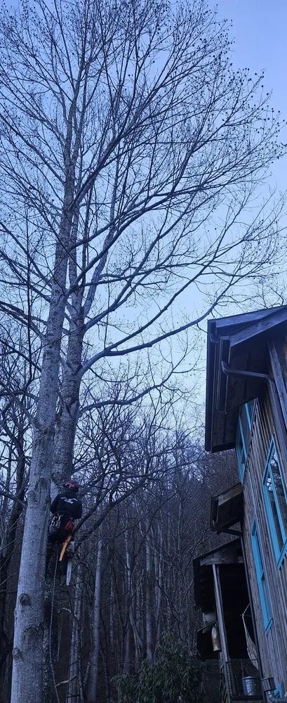 Custom landscape installation experts serving Clyde, NC - MC Yard Maintenance and Tree Work