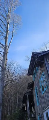 MC Yard Maintenance and Tree Work Logo