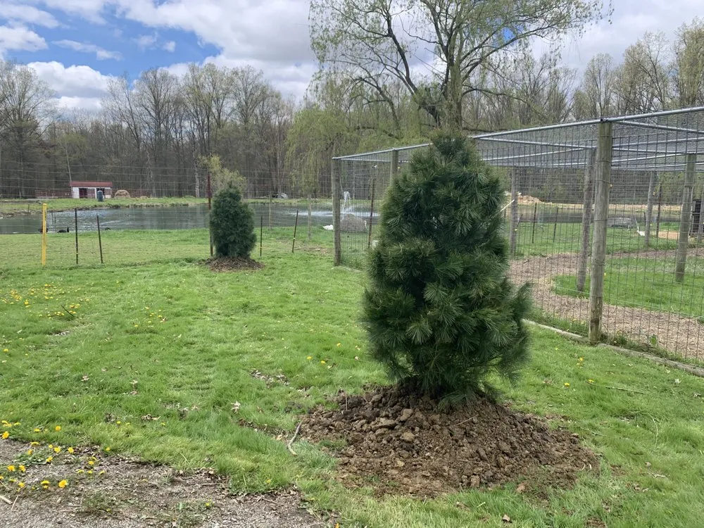 Professional lawn care service for beautiful yards across Salem, OH - MC1 Logistics