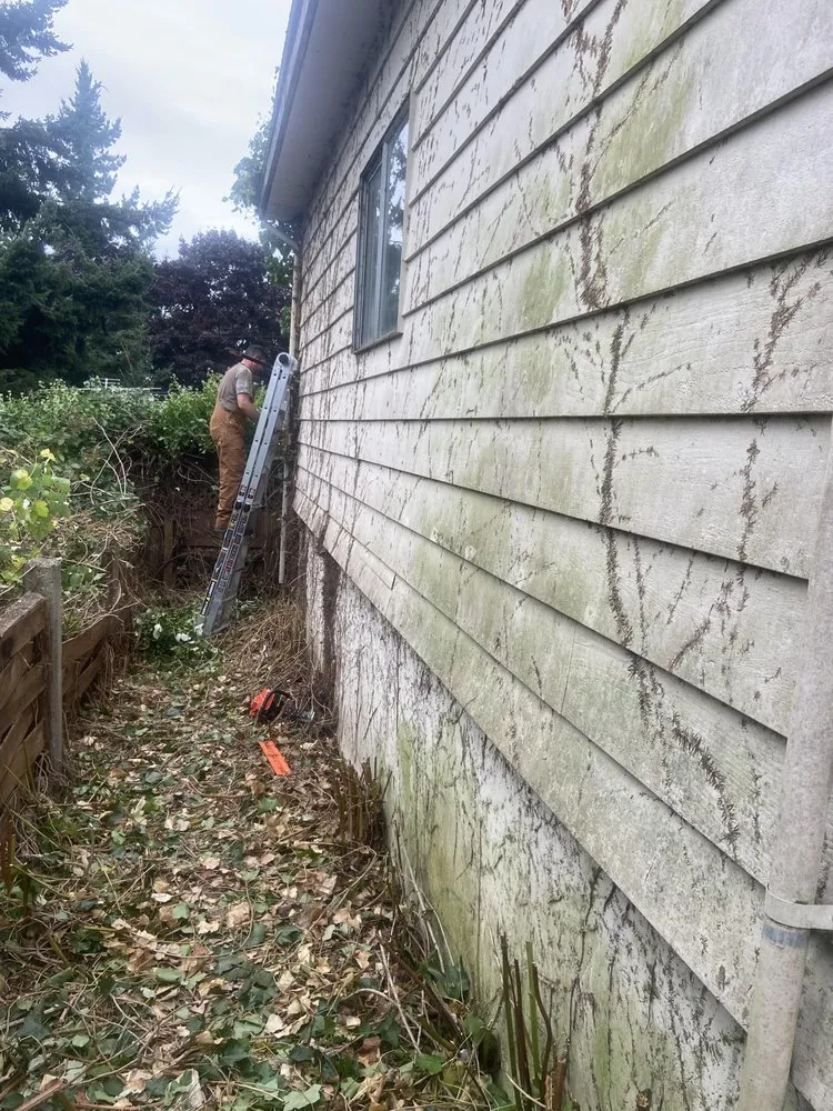 Professional outdoor landscaping in Tacoma, WA - MCA Exteriors