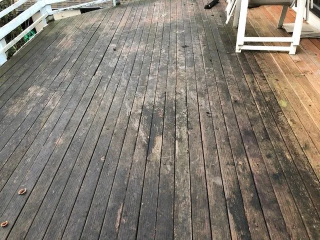 Local lawn care service in Tacoma, WA by MCA Exteriors