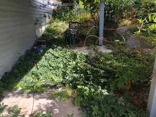 Affordable outdoor landscaping near you in Tacoma, WA by MCA Exteriors