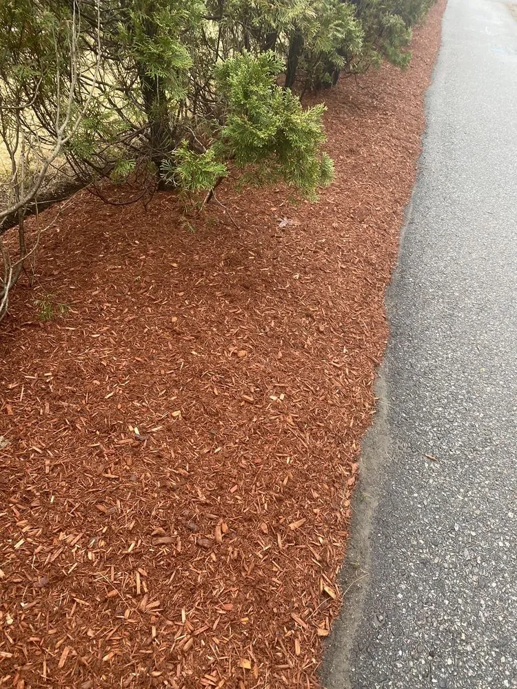 Professional garden landscaping for beautiful yards across Lawrence, MA - MCA Landscaping Services