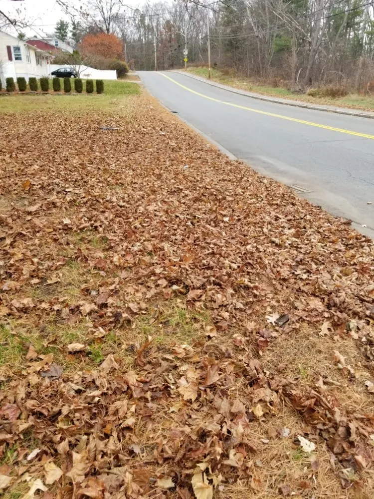 Reliable yard maintenance in Lawrence, MA by MCA Landscaping Services