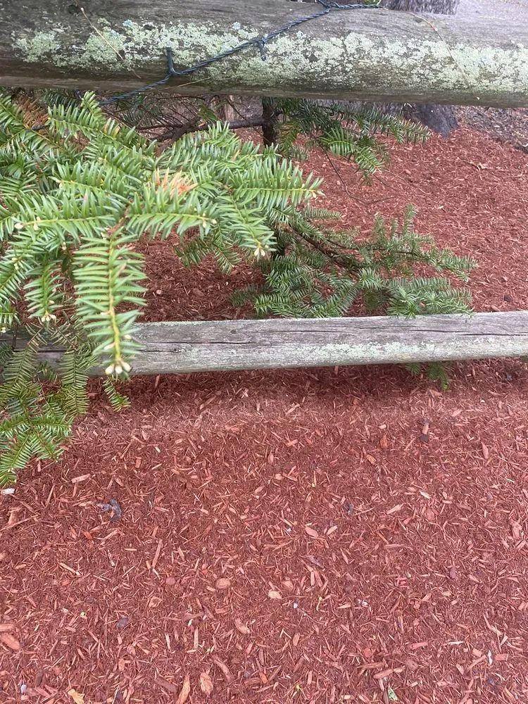 Custom lawn care service near you across Lawrence, MA - MCA Landscaping Services