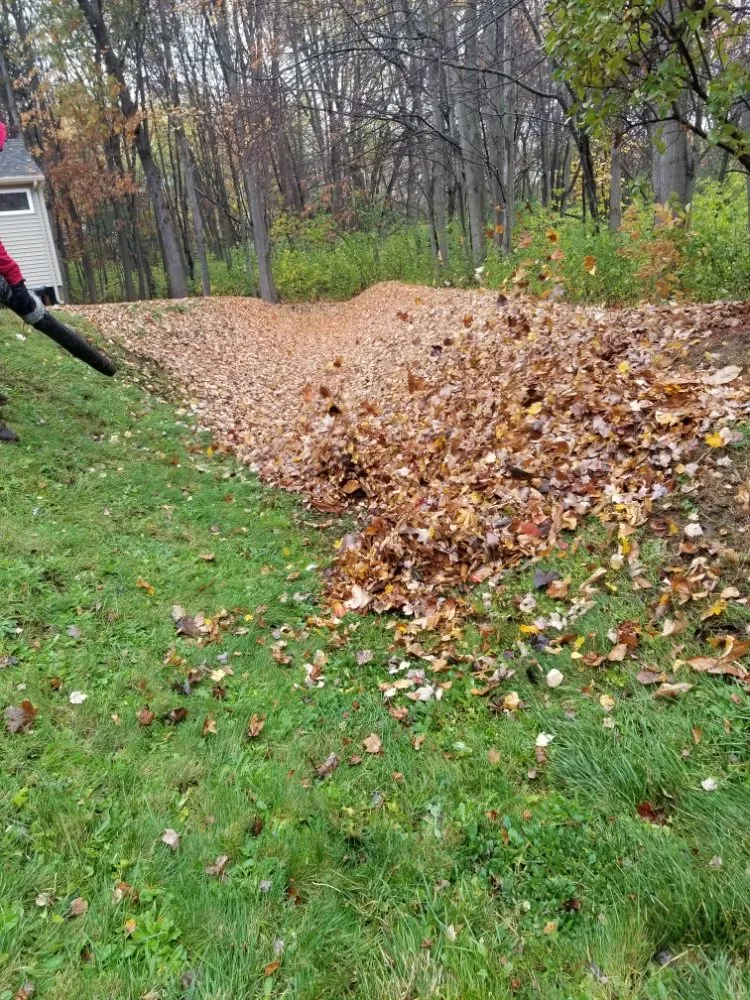 Top-rated yard cleanup service for beautiful yards across Lawrence, MA - MCA Landscaping Services