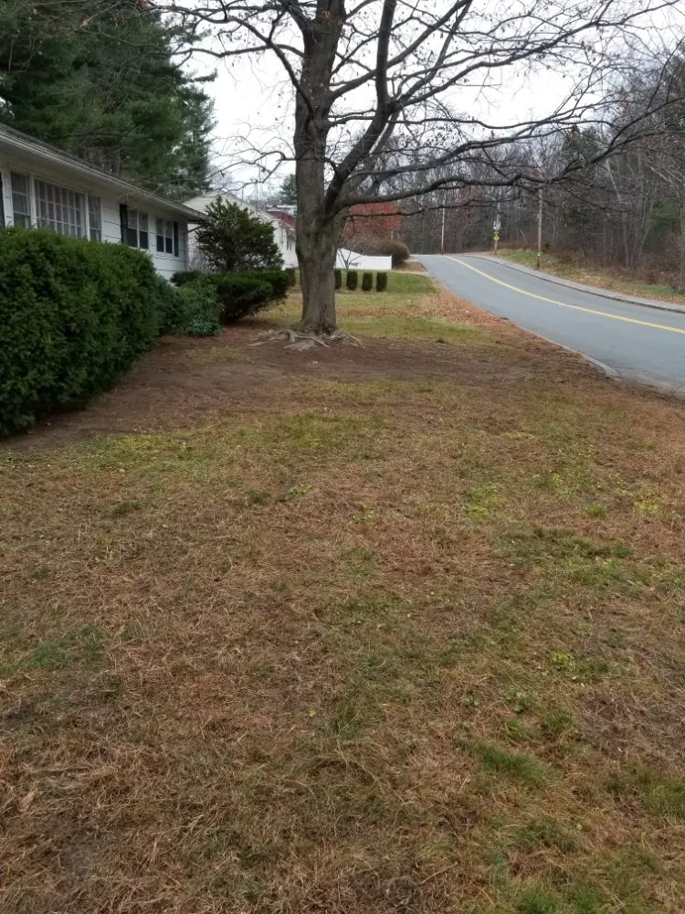 Top-rated residential landscaping for beautiful yards in Lawrence, MA by MCA Landscaping Services