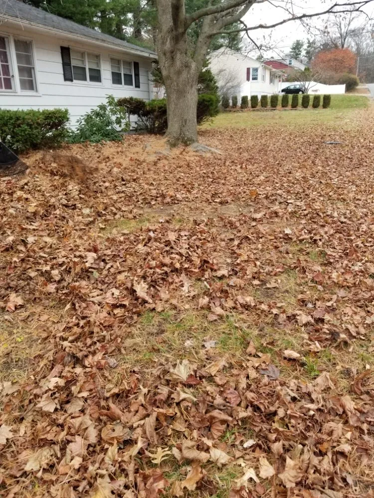 Custom yard cleanup service for outdoor upgrades in Lawrence, MA by MCA Landscaping Services