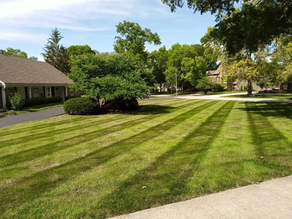 Top-rated lawn care service experts serving Belton, MO - MCA Mowing and lawn maintenance