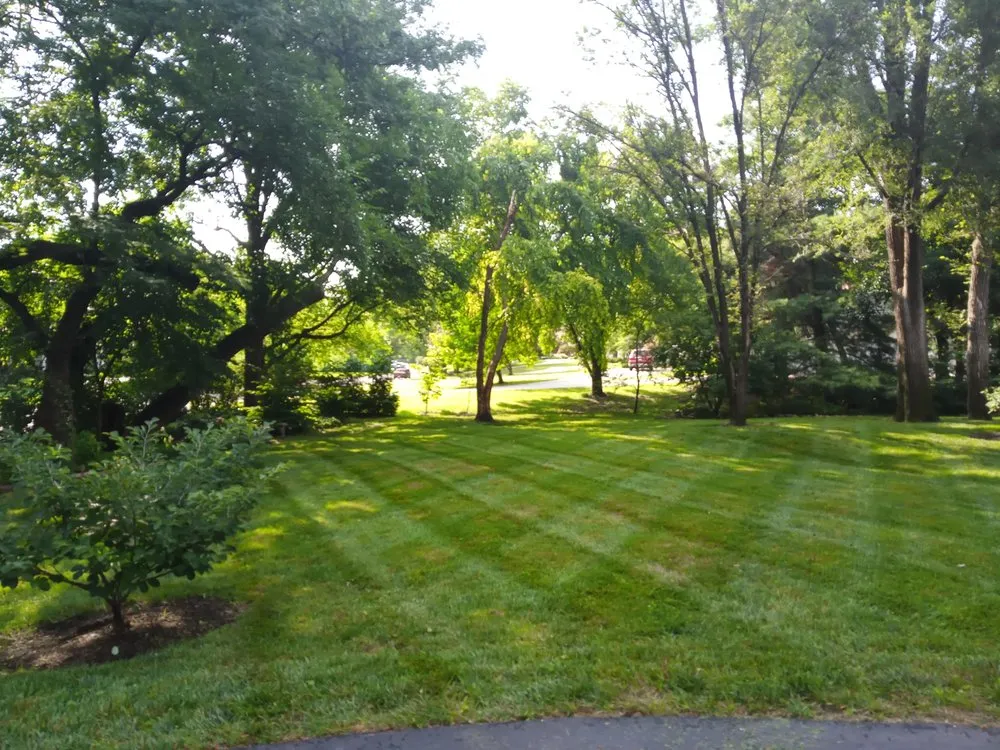 Custom garden landscaping for year-round maintenance in Belton, MO by MCA Mowing and lawn maintenance