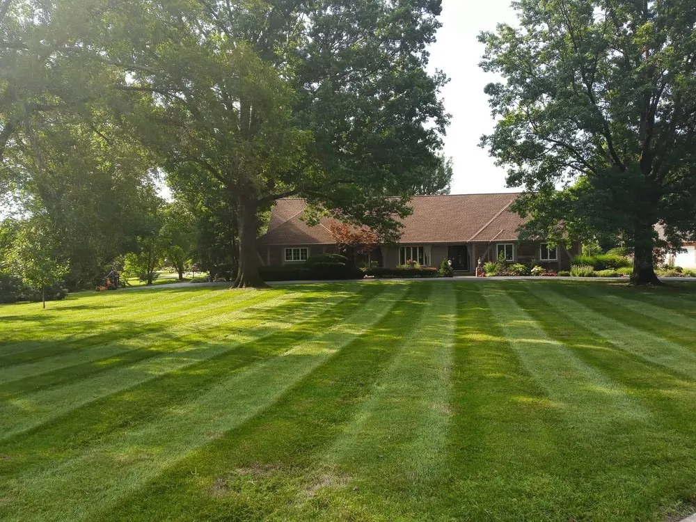 Custom yard cleanup service in Belton, MO by MCA Mowing and lawn maintenance