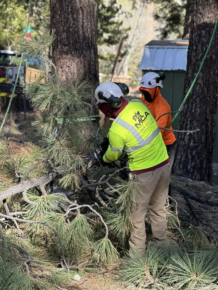 Affordable lawn mowing service for residential properties across Yucaipa, CA - MCA Tree Service