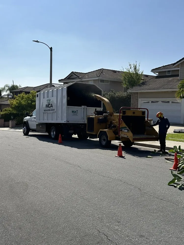 Professional garden landscaping in Yucaipa, CA - MCA Tree Service