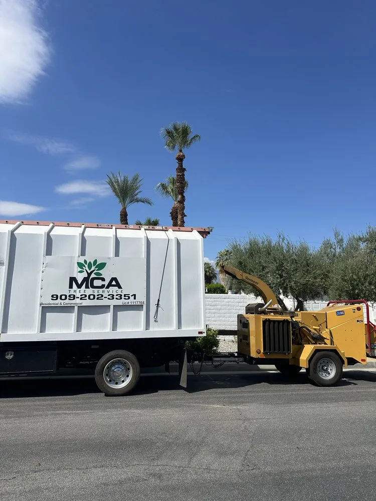 Custom outdoor landscaping experts serving Yucaipa, CA - MCA Tree Service
