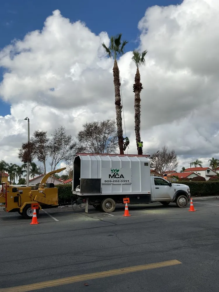 Top-rated landscape installation in Yucaipa, CA - MCA Tree Service
