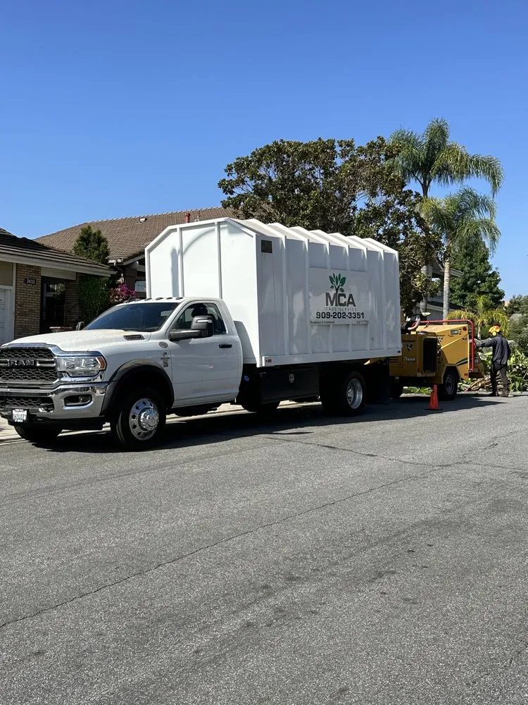 Expert yard maintenance for residential properties in Yucaipa, CA by MCA Tree Service