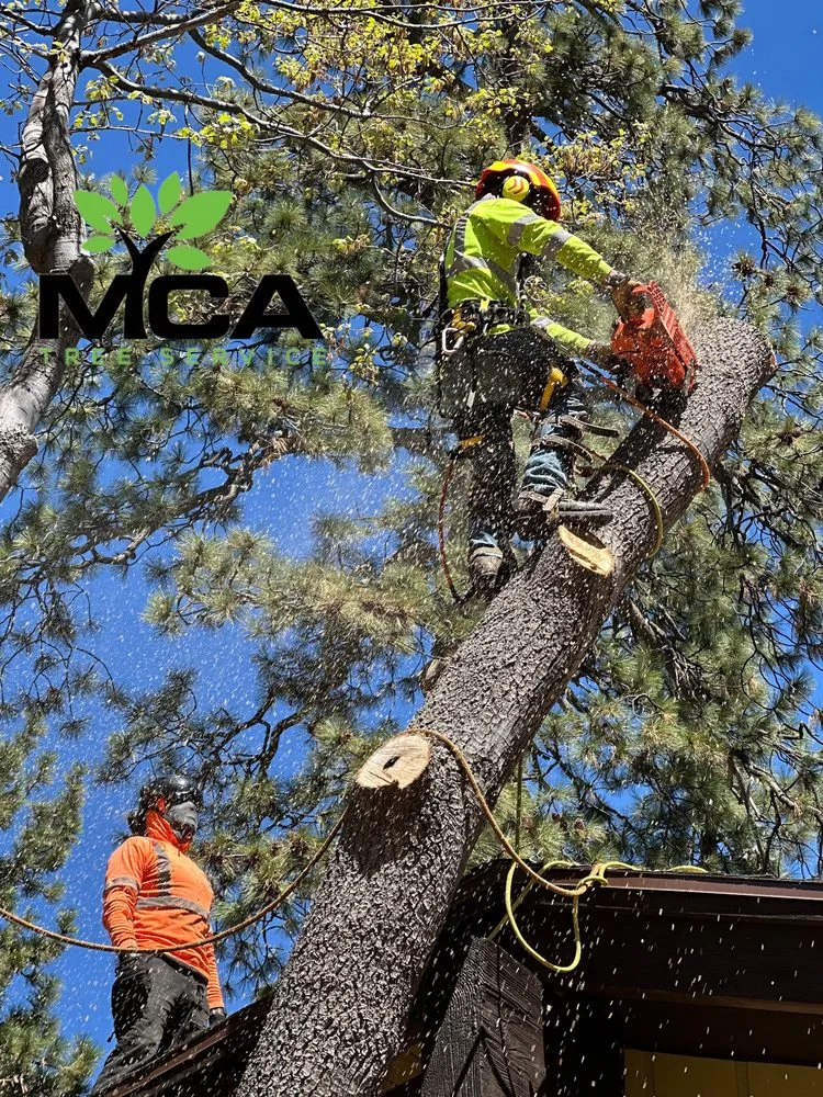 Trusted outdoor landscaping in Yucaipa, CA by MCA Tree Service
