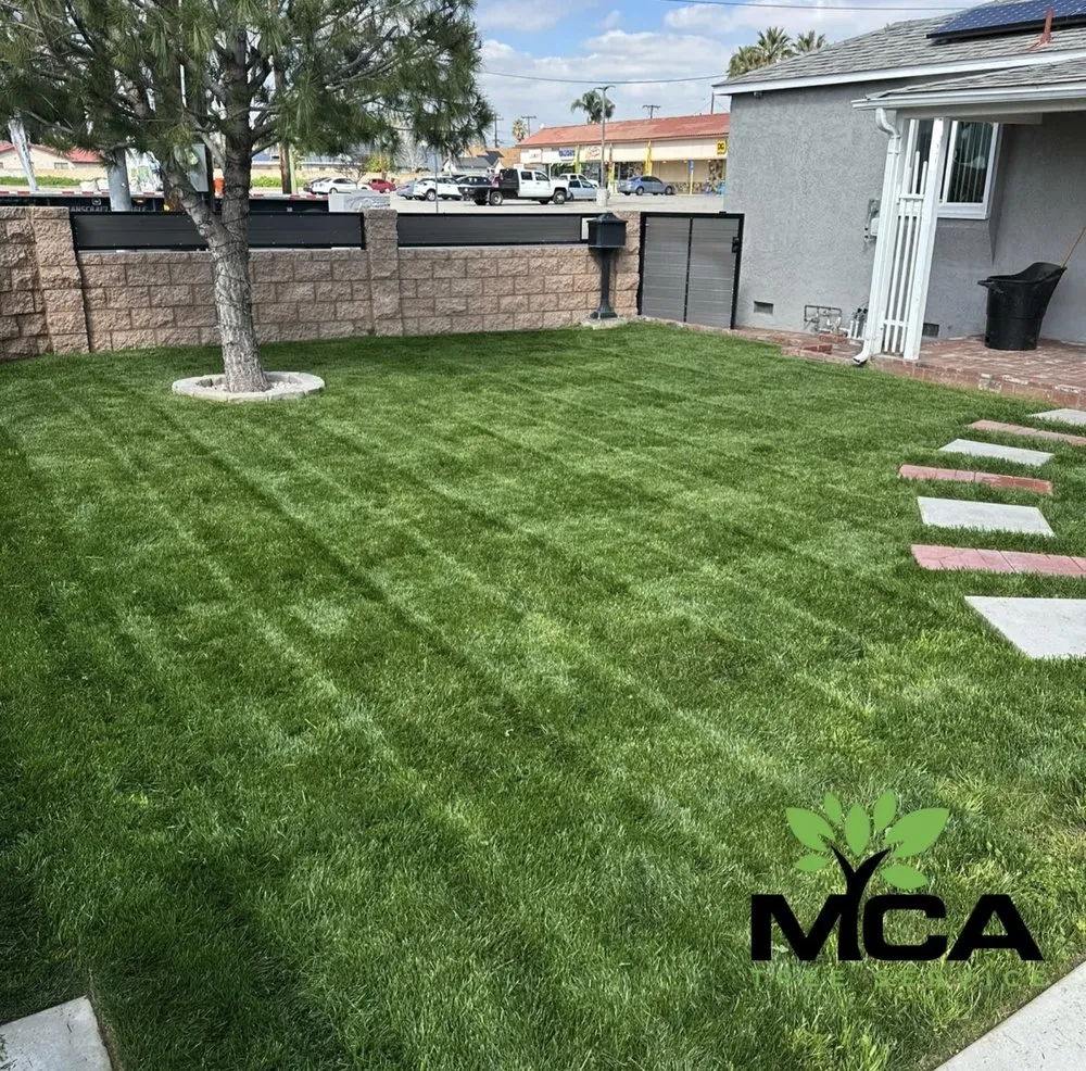 Top-rated yard cleanup service in Yucaipa, CA - MCA Tree Service