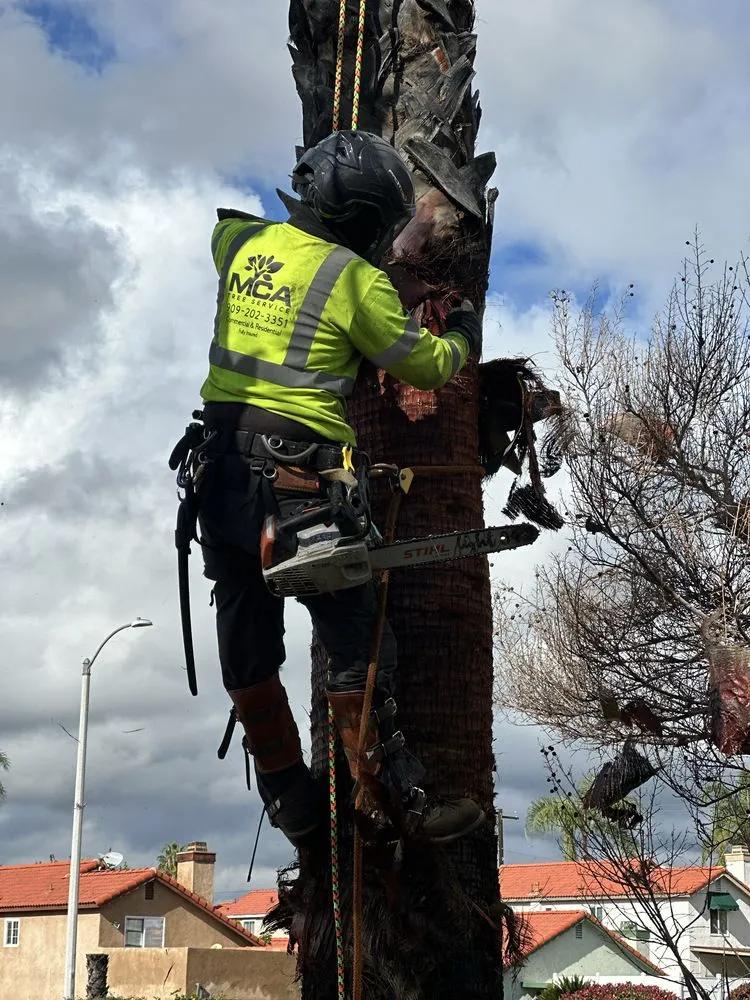 Trusted landscape installation with custom design in Yucaipa, CA by MCA Tree Service