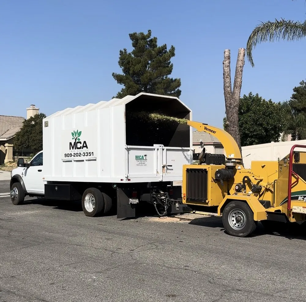 Trusted lawn care service in Yucaipa, CA by MCA Tree Service