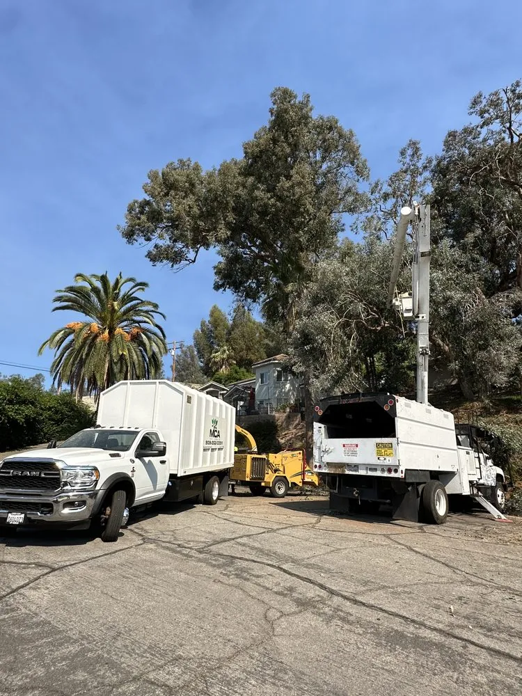 Expert landscaping services for outdoor upgrades across Yucaipa, CA - MCA Tree Service