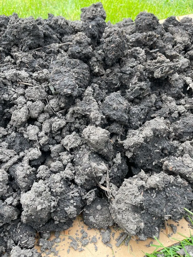 Expert outdoor landscaping near you in Forest Park, IL by McAdam Landscaping