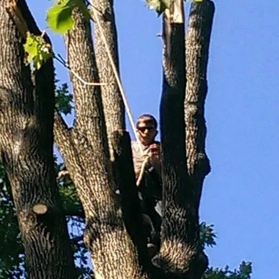 Expert garden landscaping for homes across Huntington, WV - McAdams Tree and Landscaping Service