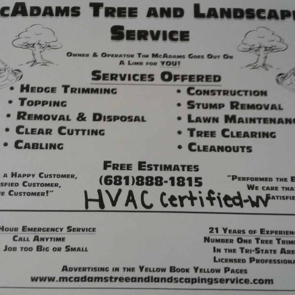 Trusted yard cleanup service in Huntington, WV - McAdams Tree and Landscaping Service