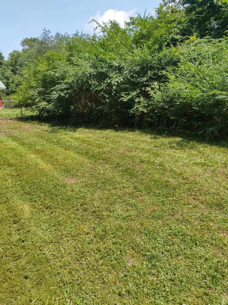 Professional landscaping services in Euharlee, GA - McAfee Hauling