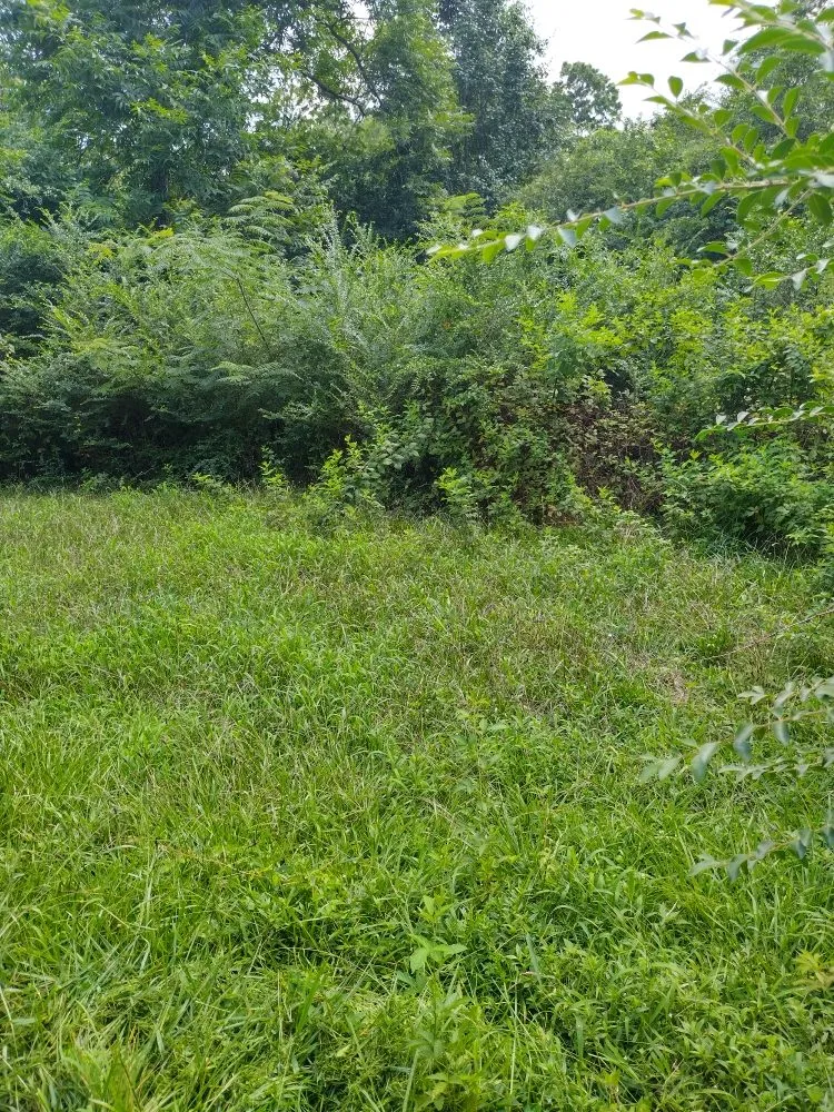 Expert landscape design in Euharlee, GA - McAfee Hauling