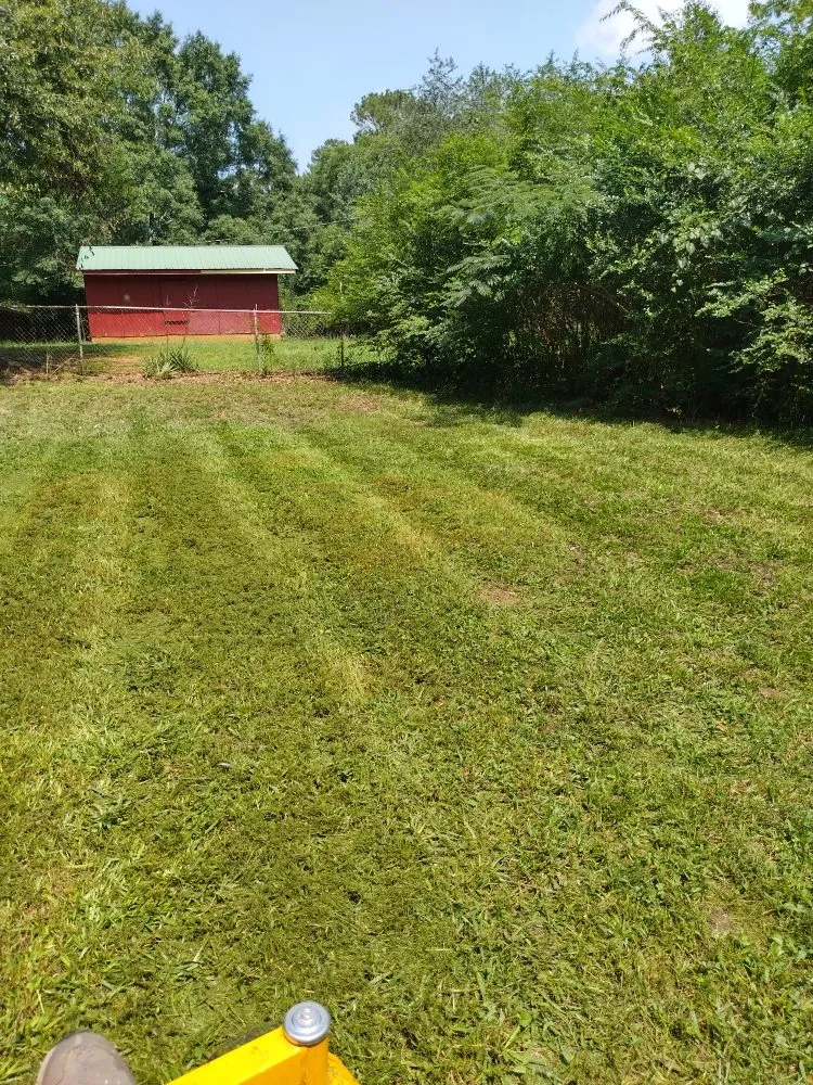 Reliable yard cleanup service in Euharlee, GA - McAfee Hauling