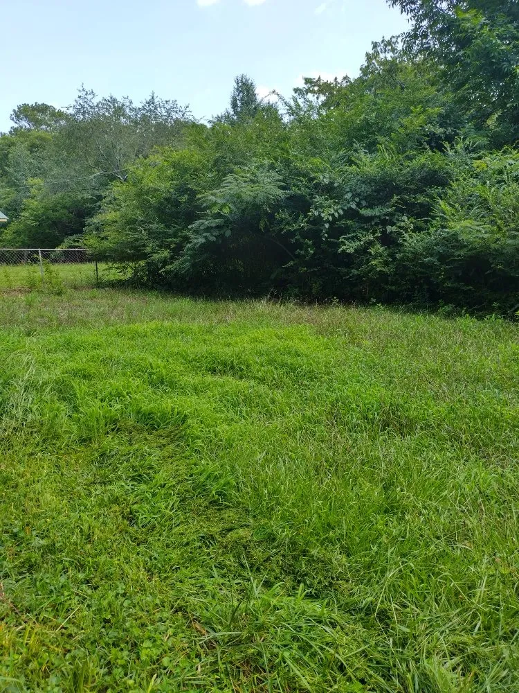 Trusted landscape installation for beautiful yards across Euharlee, GA - McAfee Hauling