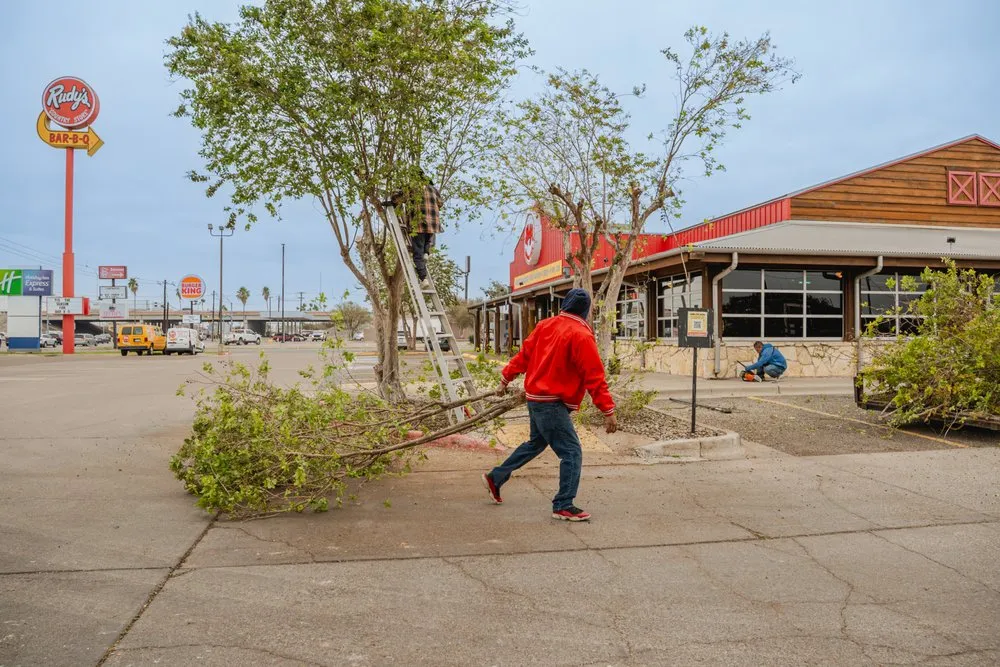 Professional landscaping services experts serving McAllen, TX - Mcallen Tree Service