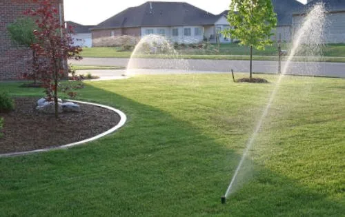 Trusted yard cleanup service in Yonkers, NY - M.Carbillano Landscaping