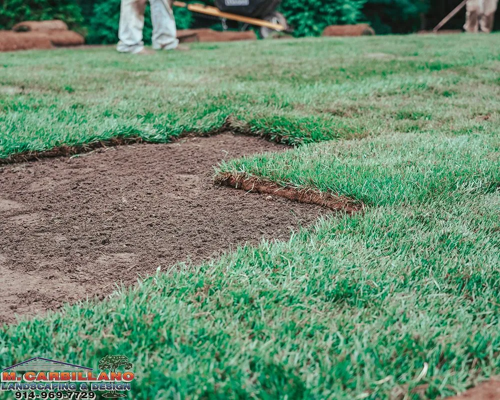 Reliable landscape design experts serving Yonkers, NY - M.Carbillano Landscaping