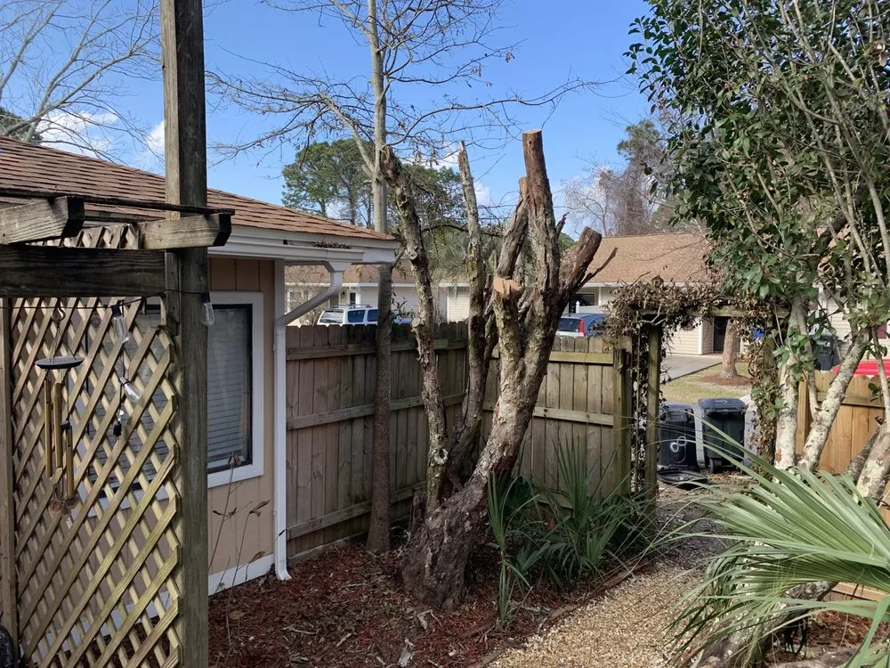 Reliable residential landscaping near you across Madison, AL - Mcarthur Cleaning & Landscaping