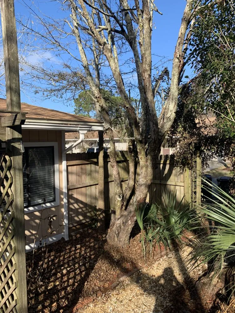 Local lawn care service experts serving Madison, AL - Mcarthur Cleaning & Landscaping