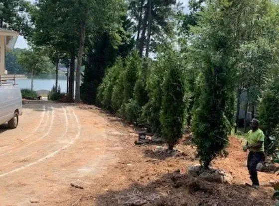 Reliable yard maintenance for outdoor upgrades in Mcdonough, GA by MCB Landscaping & Concrete Services