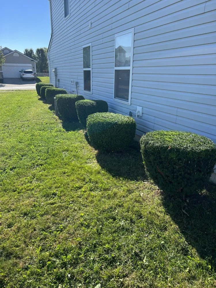 Expert lawn care service in Noblesville, IN by MCB Landscaping & More