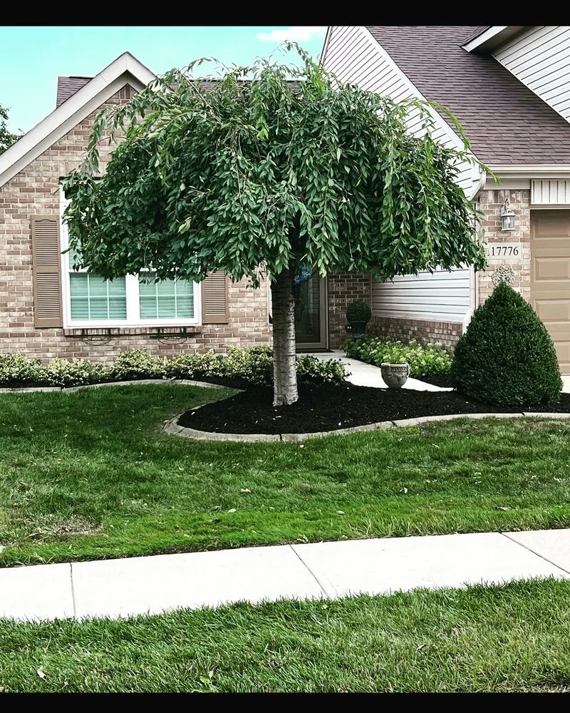 Reliable yard cleanup service in Noblesville, IN - MCB Landscaping & More