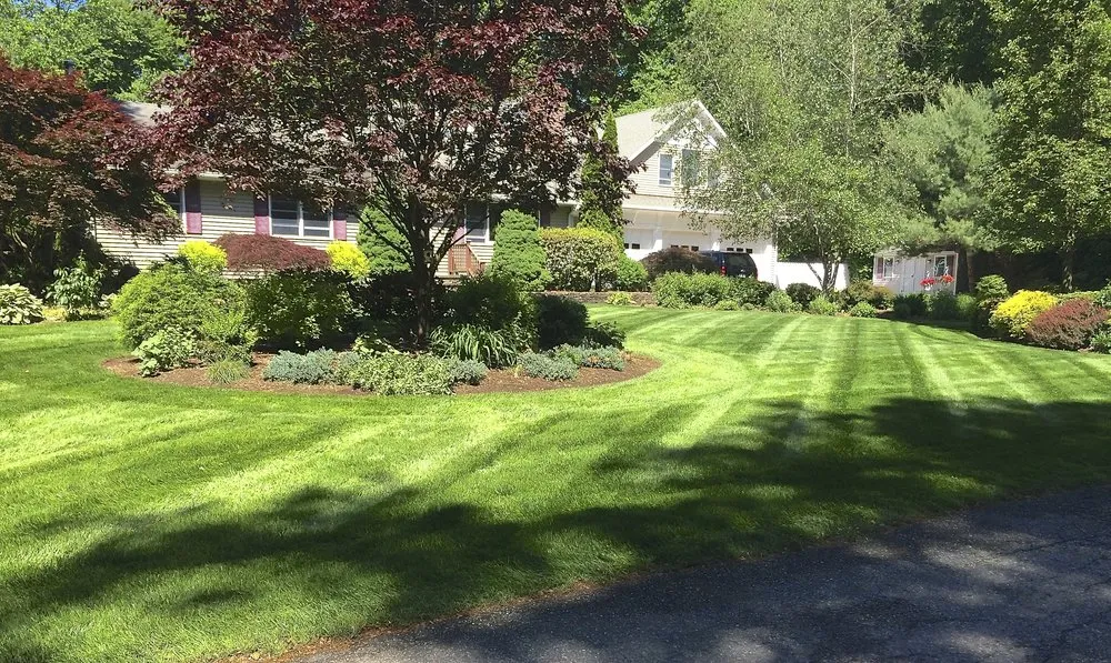 Professional landscaping services experts serving Cumming, GA - McBrayer Landscapes
