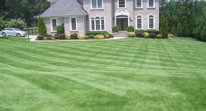 Custom lawn care service experts serving Cumming, GA - McBrayer Landscapes